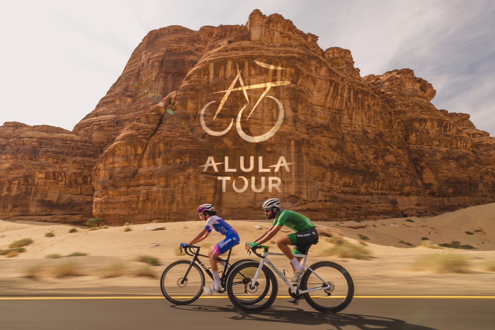 Alula project preview